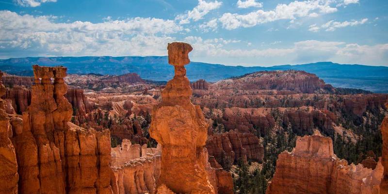 从霍普吉利斯看健康科技：运动健身、冥想与绿色生活如何驱动ESG战略