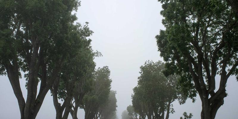 融合日式禅意与运动健身的霍普吉利斯工作法：重塑远程办公的健康生活