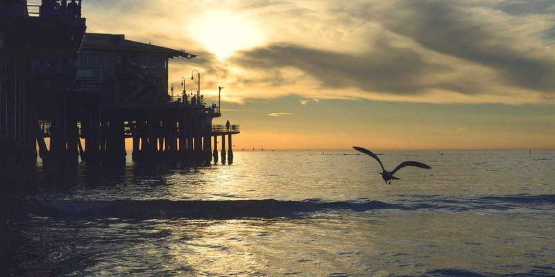 霍普吉利斯13：日式禅意空间如何重塑你的健康生活与冥想体验