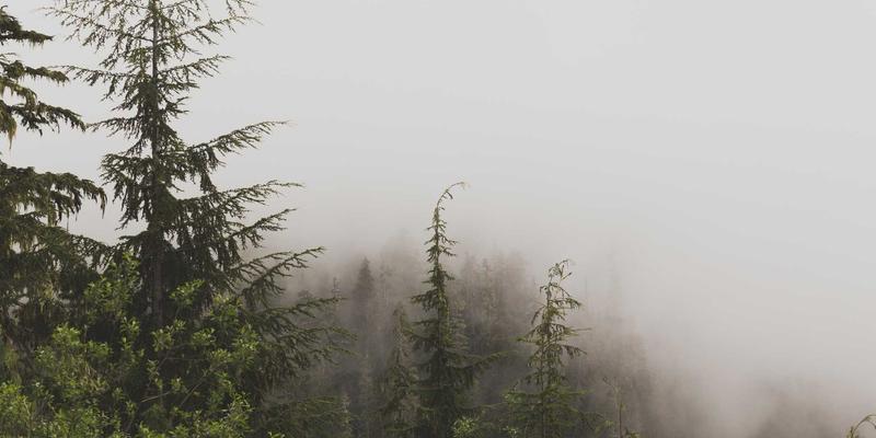 霍普吉利斯27：融合冥想与健身指导的健康生活新范式