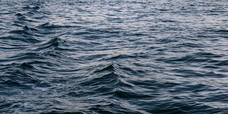 霍普吉利斯40：日式禅意与绿色生活的现代融合