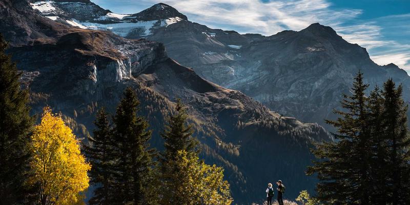 霍普吉利斯8：在日式禅意中寻找身心平衡的现代健康生活哲学
