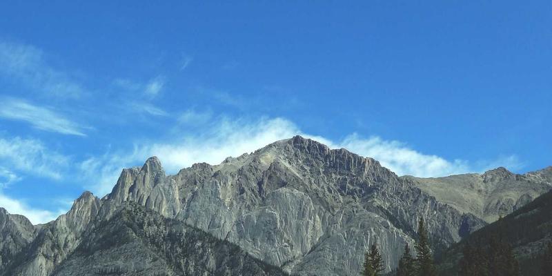 霍普吉利斯优势：融合健康生活、科学健身与绿色理念的现代生活哲学