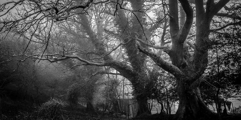 霍普吉利斯启示录：当数字疗法遇见日式禅意，重塑未来健身指导新范式