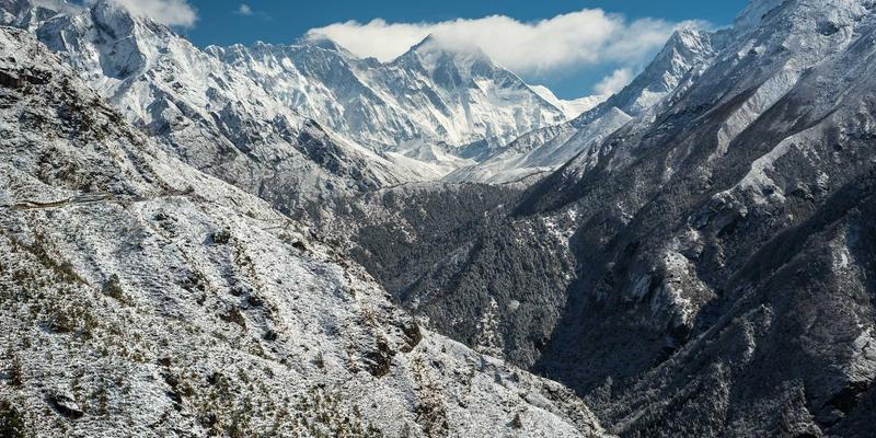 霍普吉利斯森林浴与数字排毒指南：通过冥想与运动健身，重获身心平衡