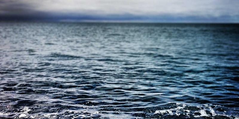 霍普吉利斯正念饮食训练：开启健康生活与绿色生活的科学饮食革命