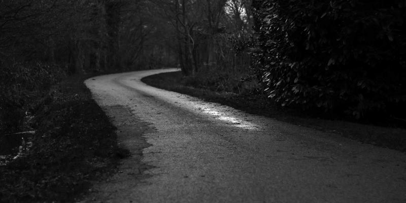 霍普吉利斯社群运营：融合日式禅意与绿色生活，构建高粘性健康支持社区