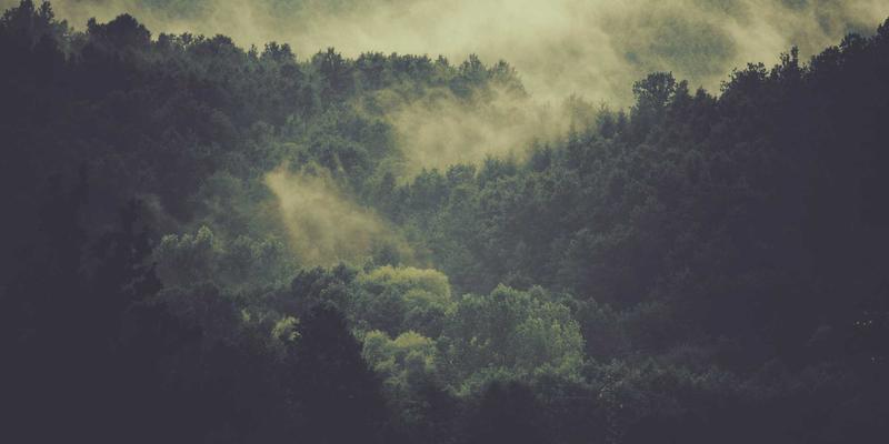 霍普吉利斯饮食与营养整合：基于运动消耗数据的个性化绿色膳食推荐系统如何重塑身心平衡